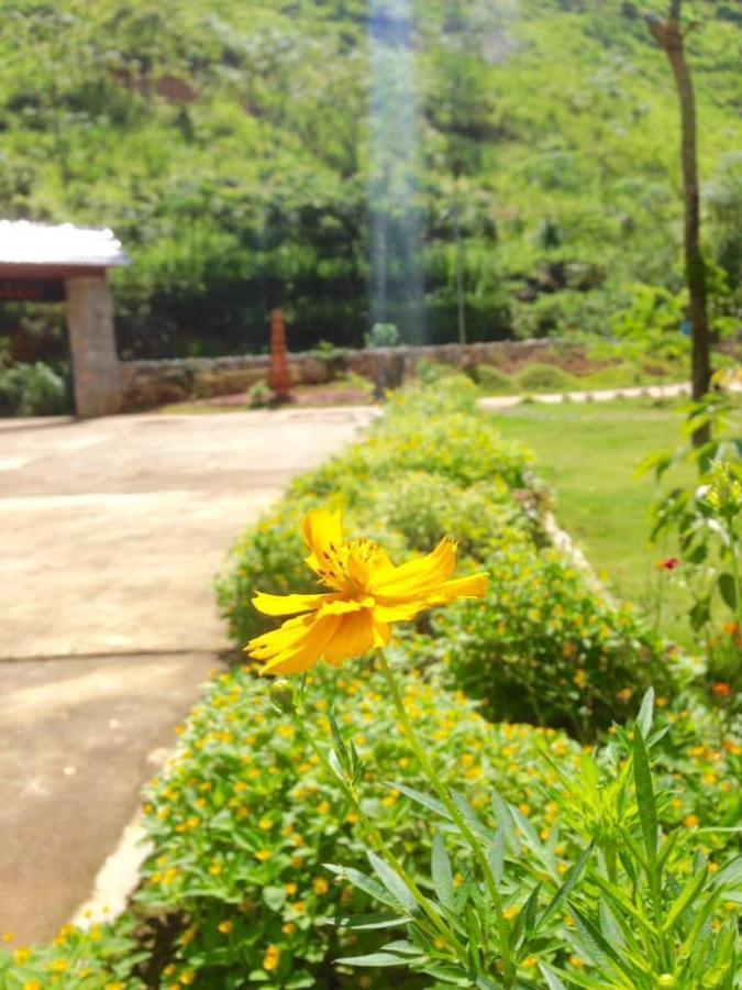 Diem Dung Chan Can Ty Ha Giang Exterior photo